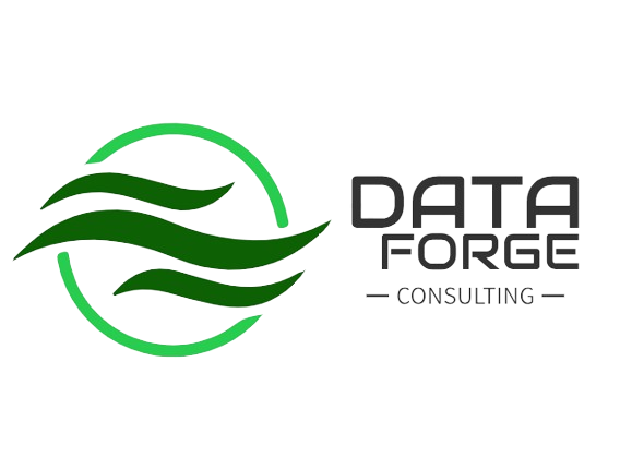 Data Forge Ventures Logo